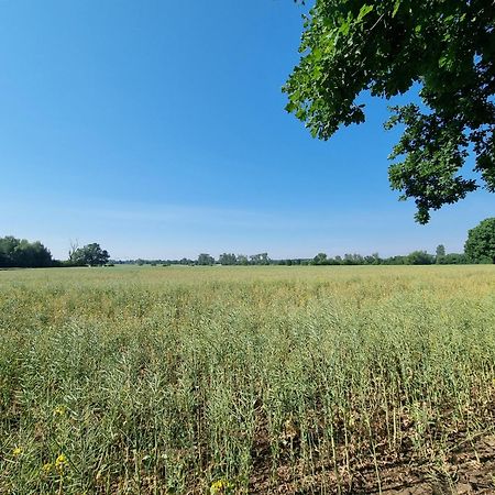 Ferienwohnung Stroebitzer Wiesen Cottbus Buitenkant foto
